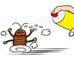 薬局で人気！おすすめのゴキブリ対策グッズ5選